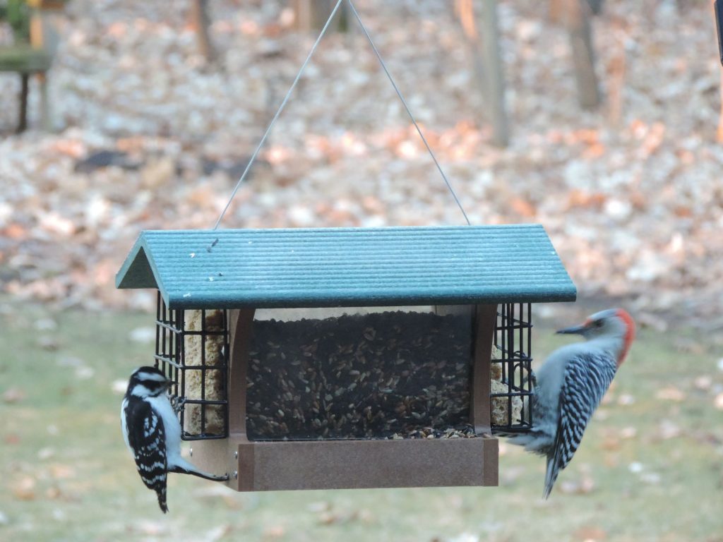  Bird’s Choice – MEDIUM HOPPER BIRD FEEDER WITH SUET CAGES IN TAUPE AND GREEN RECYCLED PLASTIC – SN200S – $79.99 