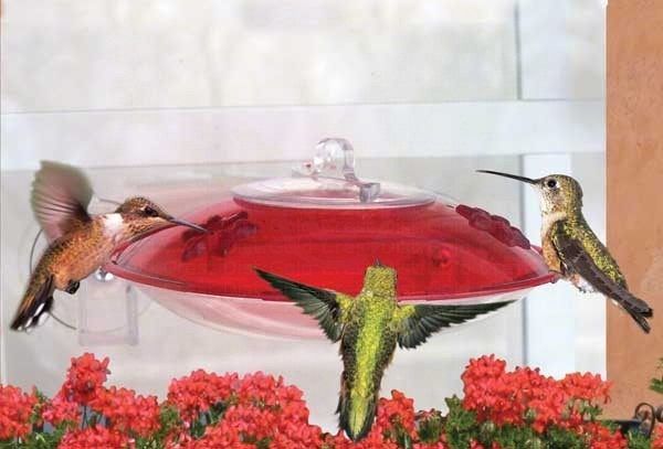 gc-window-hummer.jpg