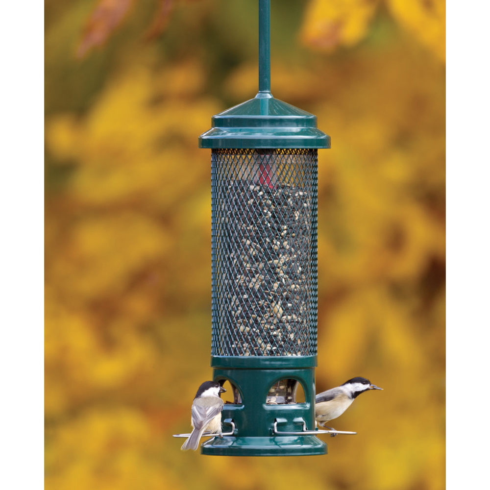  Brome Squirrel Buster Wild Bird Feeder Legacy – BBC1082 